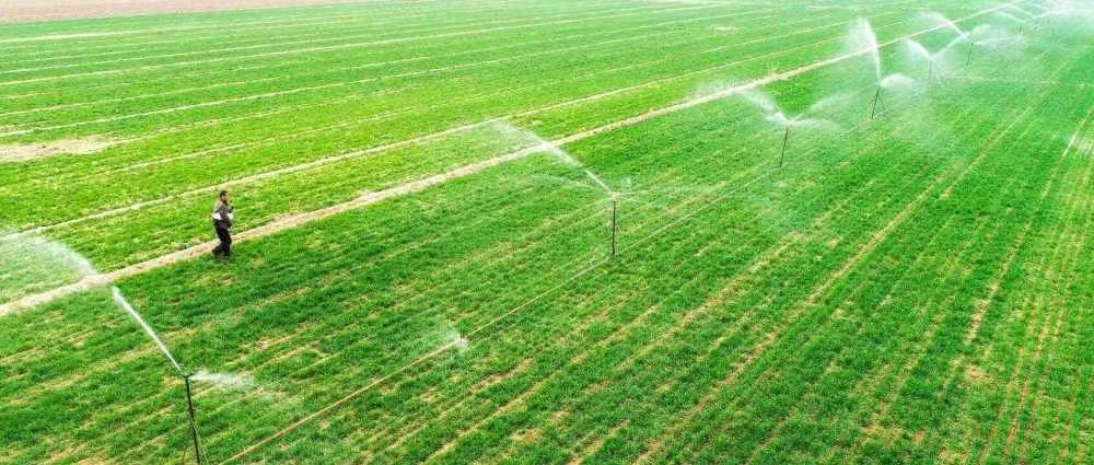 水利部部署開展2022年農業灌溉面積遙感監測與用水量核算應用示范工作